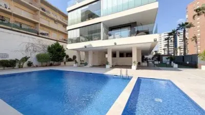 Apartment in Puerto photo 3