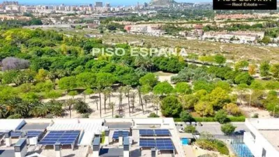 Penthouse in Playa de San Juan photo 10