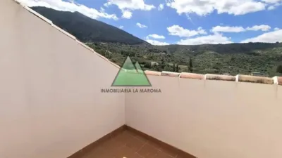 Apartment in Alcaucín photo 7