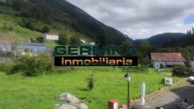 Rustic house in Aulestia photo 5