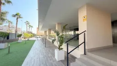Apartment in Puerto photo 13