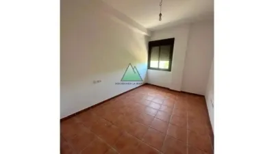 Apartment in Alcaucín photo 6