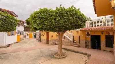  photo 46