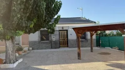 Pis – Orihuela - Vista 2