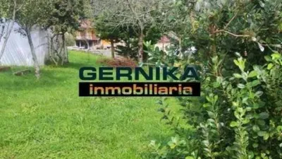 Rustic house in Aulestia photo 12
