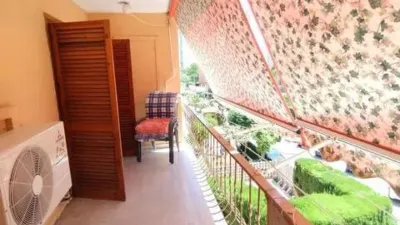 Terraced House in Poble de Llevant photo 3