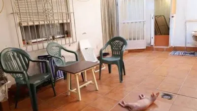 Ground-floor apartment in Mutxamel photo 21