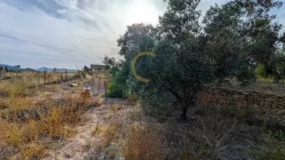 Chalet in Algueña photo 34