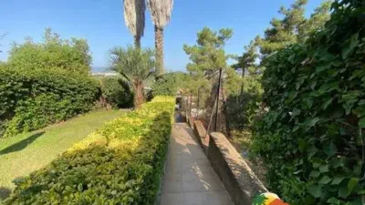 House on Carrer de l'Abat Oliba photo 46