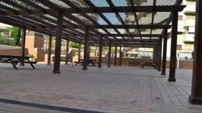 Apartment in Los Arenales del Sol photo 30