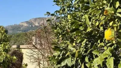 Chalet in L'Estartit photo 11