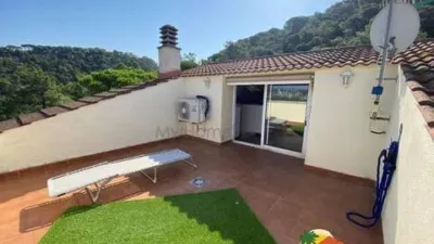 House on Carrer de l'Abat Oliba photo 34
