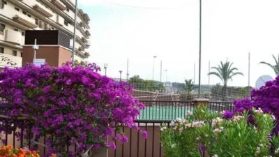 Apartment in Los Arenales del Sol photo 23