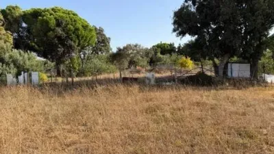 Chalet in Pinar de los Franceses-El Marquesado photo 6