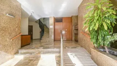 Apartment in Bons Aires photo 30