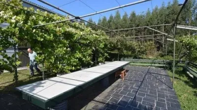 Chalet in A Graña (Pontedeume) photo 25