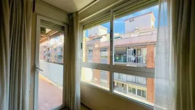 Apartment in Santa Rosa photo 5