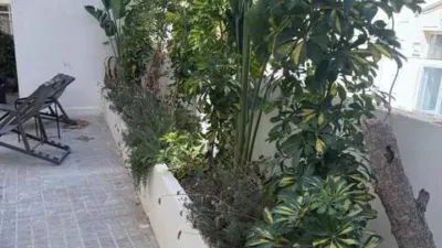 Apartment in La Seu photo 13