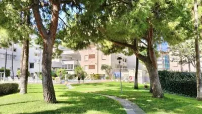 Apartment in L'Alfàs del Pi photo 13