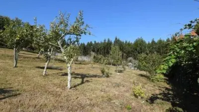 Chalet in A Graña (Pontedeume) photo 27