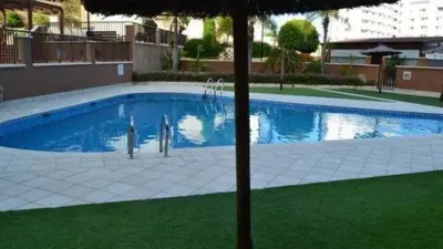 Apartment in Los Arenales del Sol photo 22