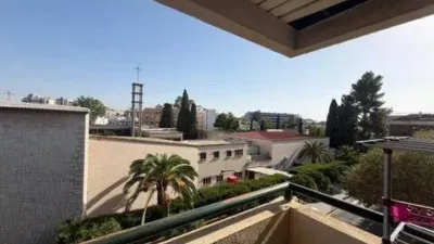 Apartment in Seville City photo 21
