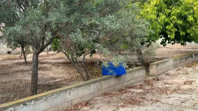 Chalet in Sant Vicent del Raspeig - San Vicente del Raspeig photo 30
