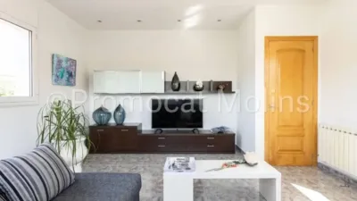 Chalet in La Palma de Cervelló photo 49