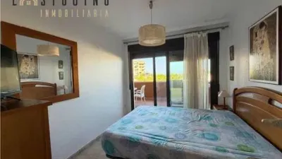 Apartment in Los Arenales del Sol photo 8
