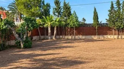 Townhouse in Murcia Capital photo 8