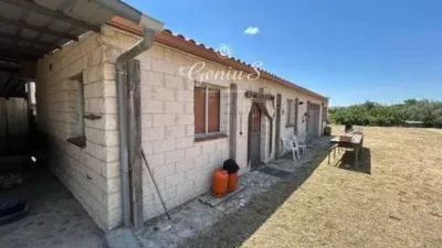Terraced house in El Molar photo 18