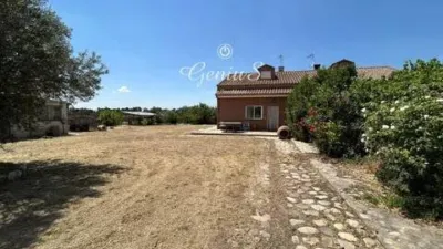 Terraced house in El Molar photo 30