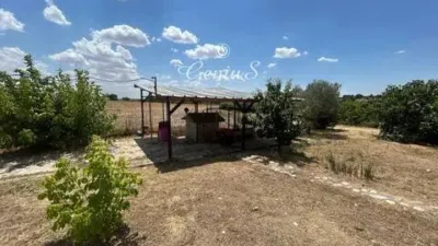 Terraced house in El Molar photo 38