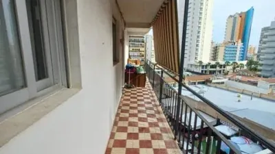 Apartment on Mirador Street photo 3