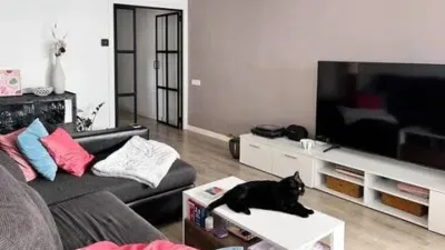 Apartment in Fenals-Santa Clotilde photo 5