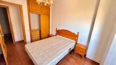 Apartment in La Mata photo 13
