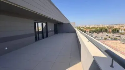 Attic in La Flota photo 3