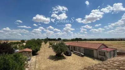 Terraced house in El Molar photo 3