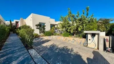 Chalet in Algorfa photo 17