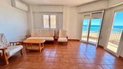 Apartment in La Mata photo 6
