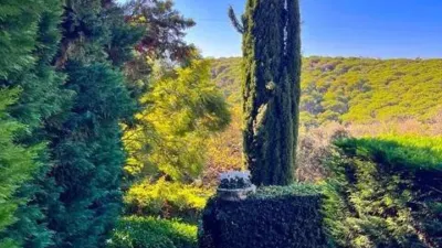 Chalet in Fenals-Santa Clotilde photo 10
