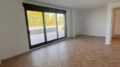 Attic in La Flota photo 21
