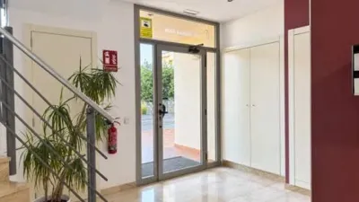 Apartment in Calella photo 26