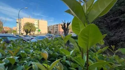 Apartment in Zarzaquemada photo 2