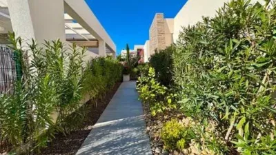 Chalet in Algorfa photo 18