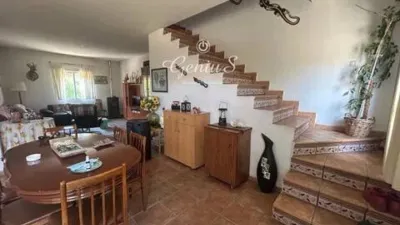 Terraced house in El Molar photo 4