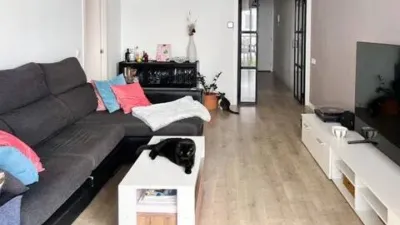 Apartment in Fenals-Santa Clotilde photo 4