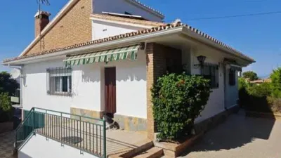 Chalet in Manantiales-Cortijos del Sol-Fuensanguínea photo 23