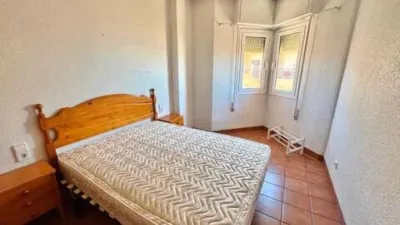 Apartment in La Mata photo 12
