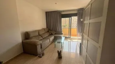 Apartment in Cala de Villajoyosa photo 5
